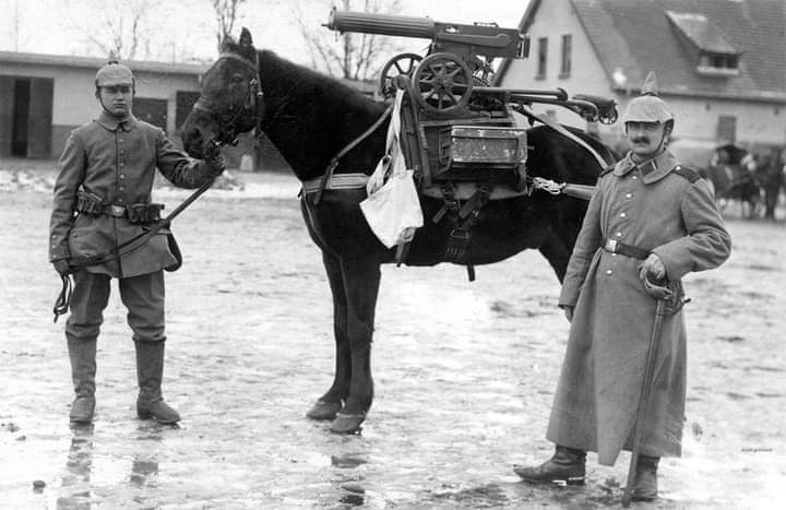 Nothing to see here, just a horse with a machine gun during WW1